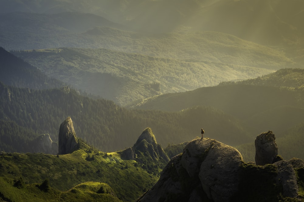 Europe Safarnama: A Journey of Beautiful Surprises
